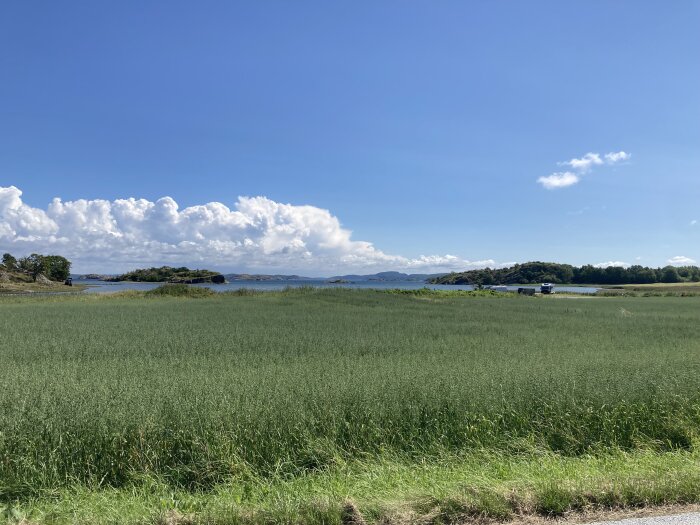 Grön åker med buskage i förgrunden, hav och öar i bakgrunden under en blå himmel med moln.