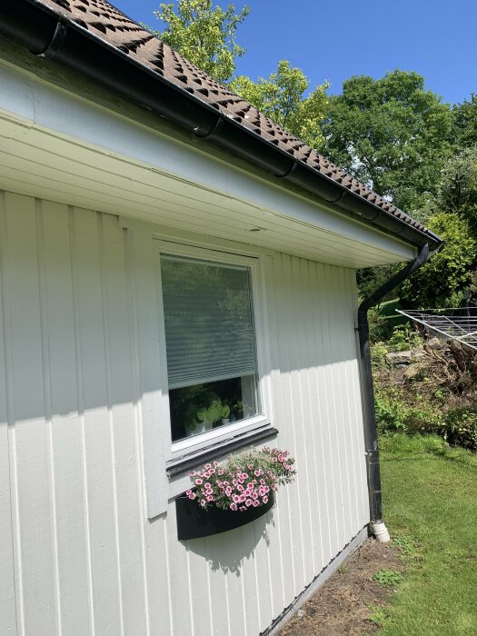 Vit träfasad på hus med blomlåda fylld av rosa blommor under ett fönster med persienner, grönska i bakgrunden och blå himmel ovanför.