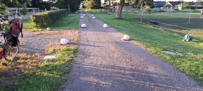 En grusväg med gräsmatta på sidorna där målade stenar är utplacerade längs vägen. Ett rött cykel med barnstol syns på vänster sida.