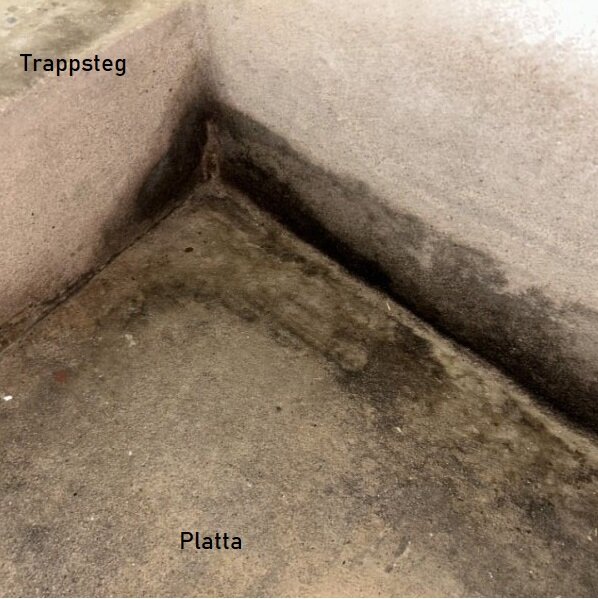 En fuktig fläck på betongkanten där trappsteg möter garagets platta. Mörka områden synliga på väggen där fukt tränger igenom.