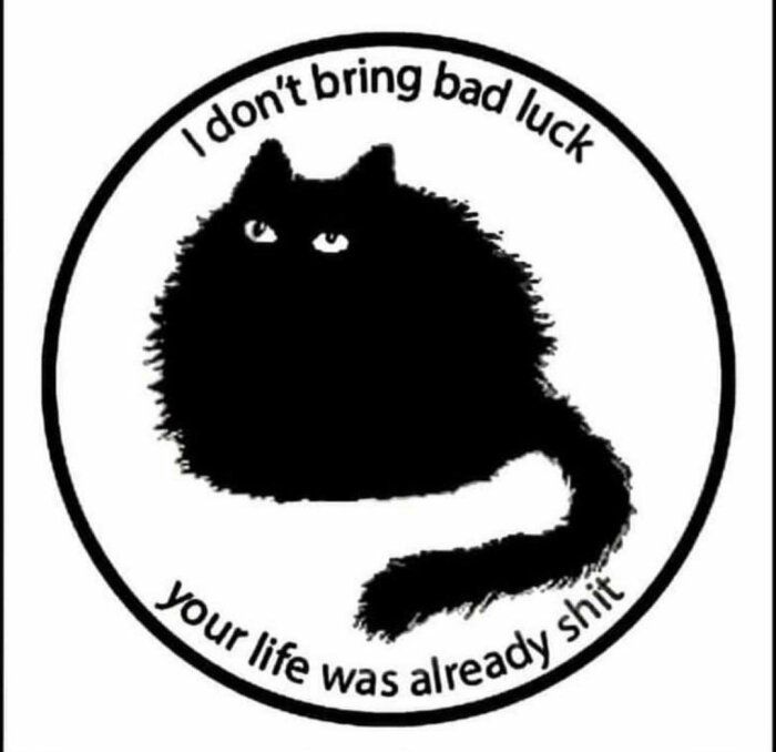 Svart tecknad katt med texten: "I don't bring bad luck, your life was already shit.