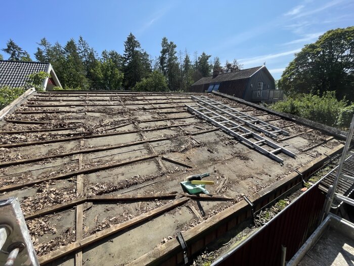 Renovering av uthusets tak med borttagen panna och underlägg, en stege placerad tvärs över taket och verktyg i solen.