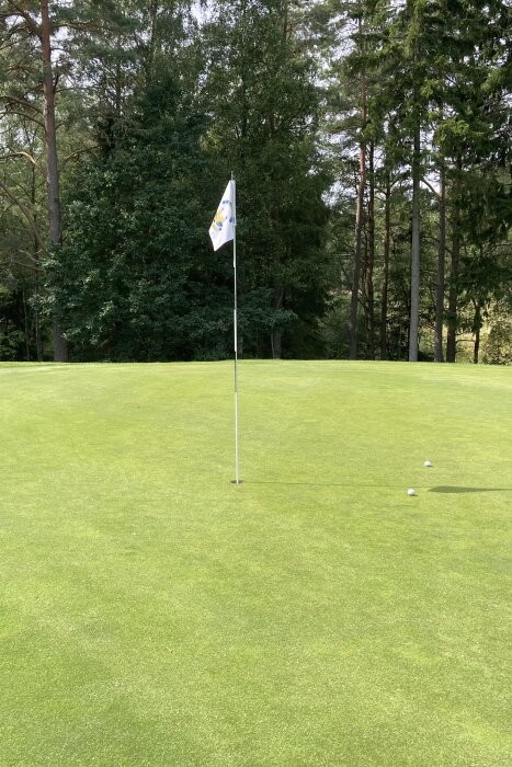 Golfbana med grönt gräs och ett flaggstångshål i mitten, två golfbollar ligger nära hålet. Skog i bakgrunden.