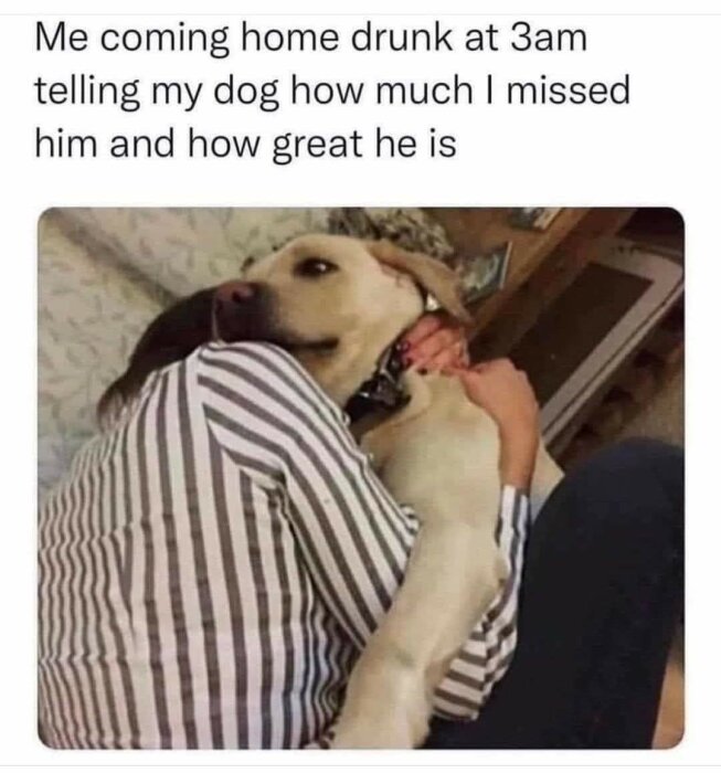 Person i randig tröja kramar om en gul labrador. Texten ovanför bilden lyder: "Me coming home drunk at 3am telling my dog how much I missed him and how great he is".