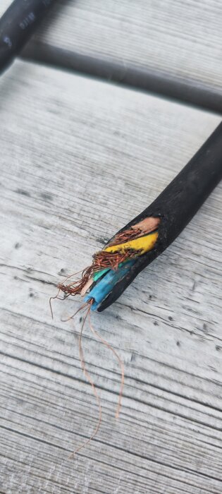 Skadad kabel med exponerade ledningar på en trädäcksyta, med synliga koppartrådar och färgade interna isolationslager.