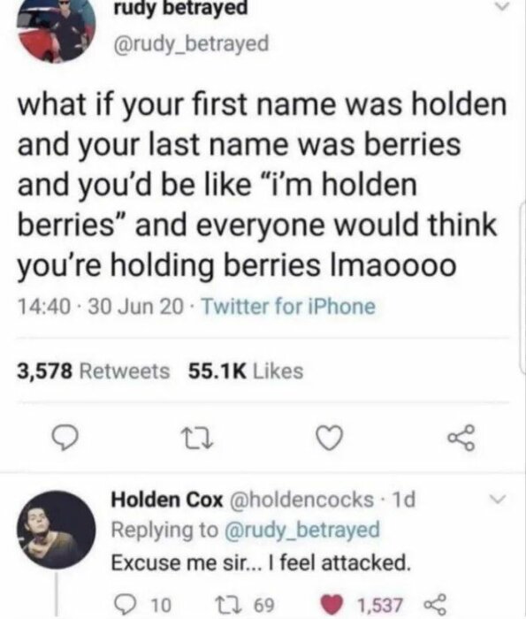 En skärmdump av ett Twitter-inlägg som skämtar om namnet "Holden Berries" följt av ett svar från en användare vars namn är "Holden Cox" som säger att hen känner sig attackerad.