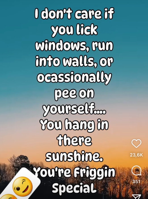 Text mot en solnedgångsbild som säger: "I don't care if you lick windows, run into walls, or ocassionally pee on yourself.... You hang in there sunshine. You're Friggin Special.