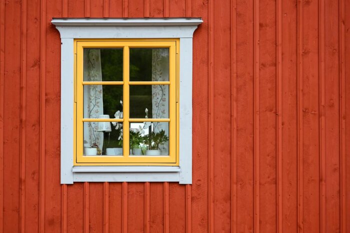 Rött trähus med gult fönster med vita karmar och vit foderlist med rundad infasning, samt växter placerade på fönsterbrädan invändigt.