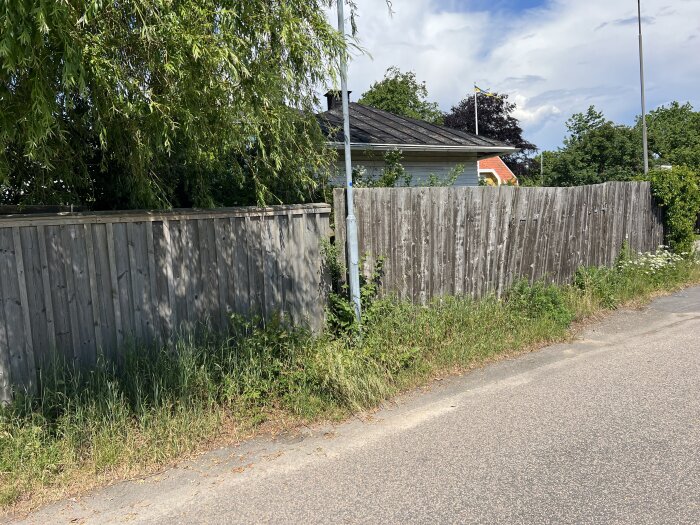 Högt trägärde längs en asfalterad väg med högt ogräs vid basen, beläget i ett grönskande bostadsområde med ett hus i bakgrunden och ett träd över staketet.