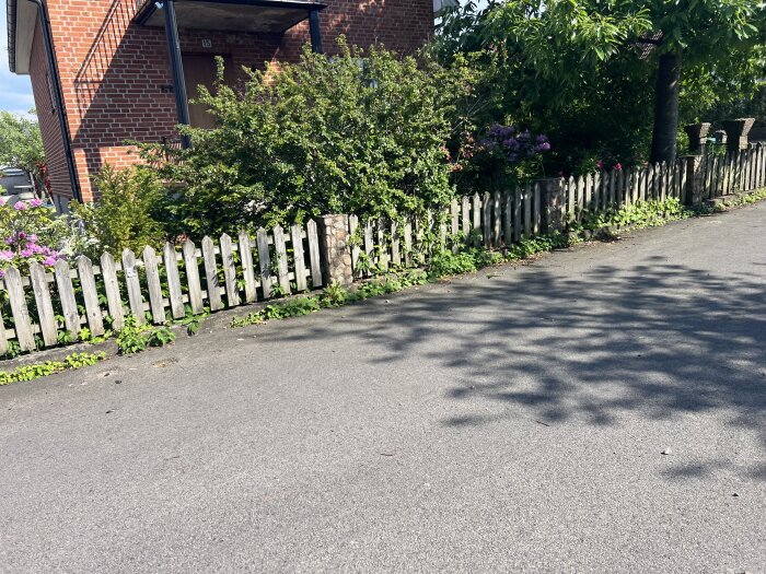 Trästaket framför en trädgård med buskar och blommor, bredvid en trottoar, och ett tegelhus i bakgrunden.