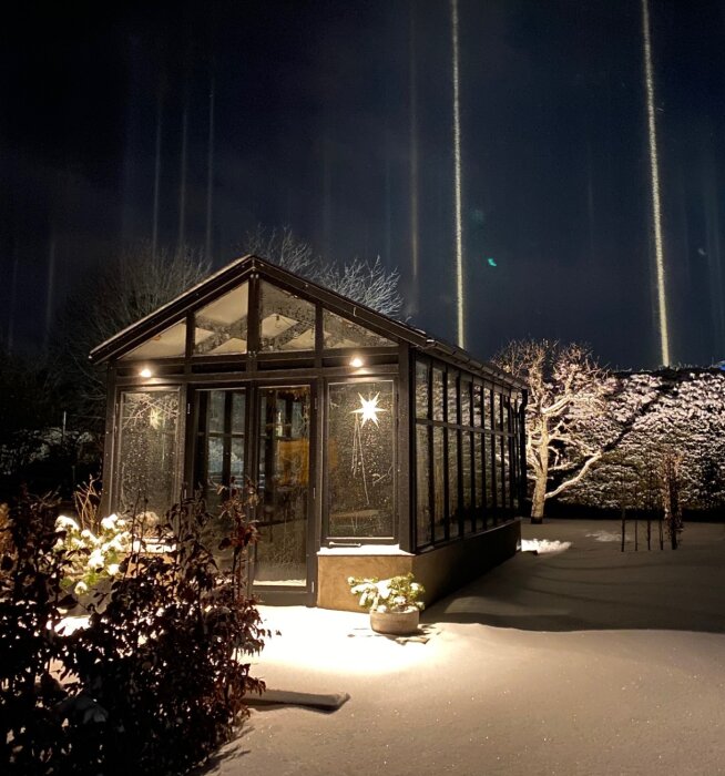 Växthus i vinterlandskap, sett på natten med belysning och en stjärnprydnad i fönstret, omgärdat av snö och träd i bakgrunden.