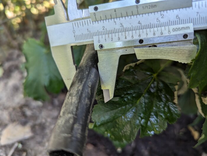 En hård bevattningsslang mäts med en skjutmått mellan växtbladen, vilket visar slangens ytterdiameter i millimeter.