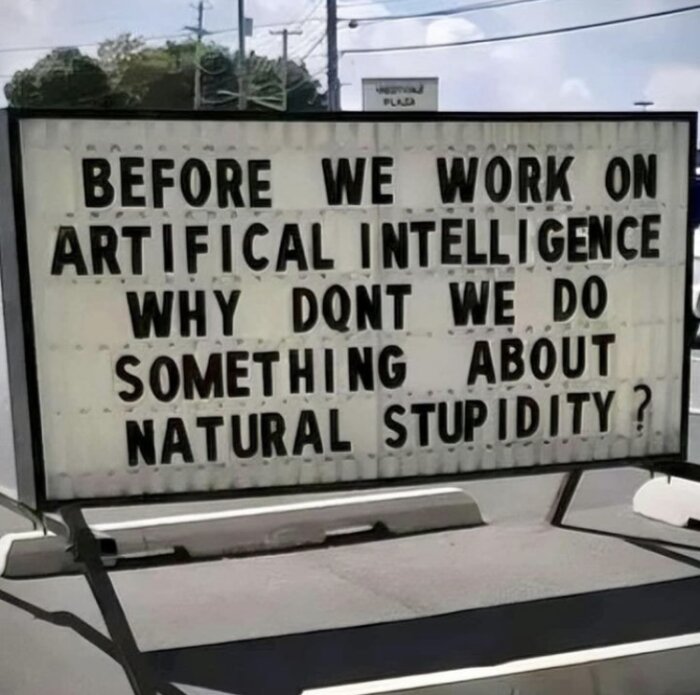 Skylt med texten "BEFORE WE WORK ON ARTIFICAL INTELLIGENCE WHY DONT WE DO SOMETHING ABOUT NATURAL STUPIDITY?