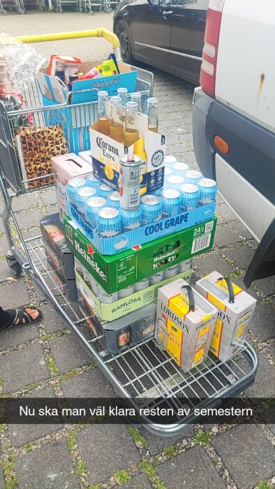 En kundvagn fylld med olika drycker, inklusive Corona-öl, Heineken, Ramlösa, Lordson Gin, Cool Grape läsk och snacks. Snapchattbildtext: "Nu ska man väl klara resten av semestern".