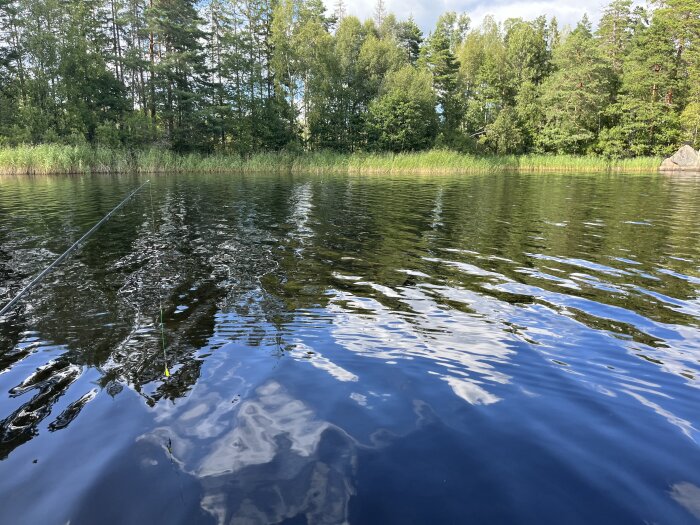 Fiske på en lugn sjö omgiven av träd med ett fiskespö som sträcker sig ut över vattnet.