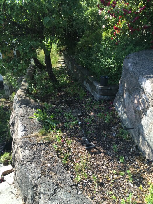 Stödmur av betong och natursten med växter i förgrunden och en trädgårdsspade liggande på marken, omgiven av träd och buskar.