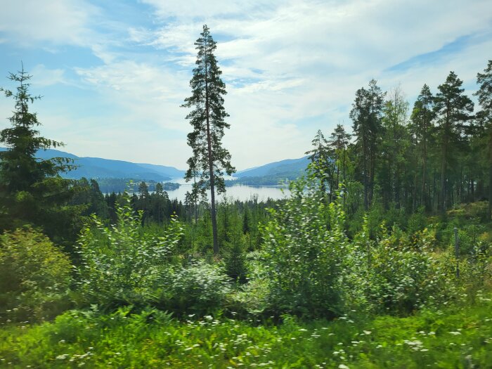 Utsikt över en sjö med omgivande skog och berg i fjärran, fotat en solig dag med blå himmel och vita moln.