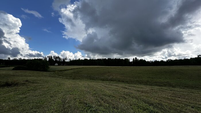 En stor, öppen åker med skog och ett hus i bakgrunden under en dramatisk himmel med mörka regnmoln och blå luckor mellan molntäcken.