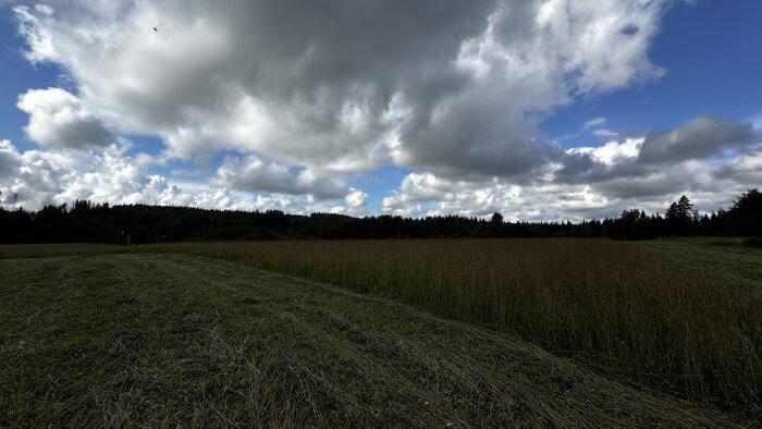 Molnig himmel över ett skördat fält omgiven av skog, med solglimtar som skiner igenom mellan regnskurar.