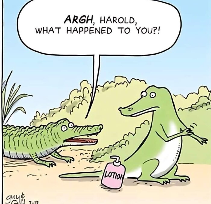 Tecknad bild på en alligator som applicerar lotion och en annan alligator som frågar "ARGH, HAROLD, WHAT HAPPENED TO YOU?!" i en pratbubbla.