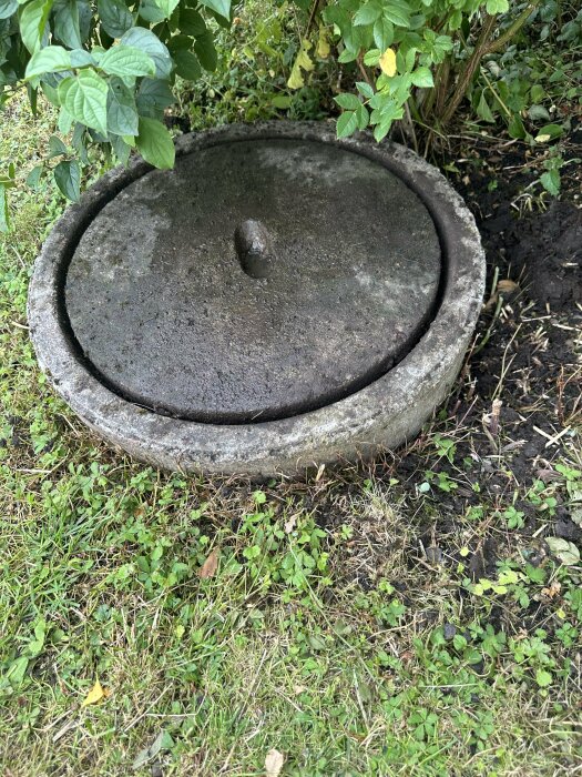 Betongbrunn med lock belägen i en trädgård omgiven av gräsmatta och buskar. Brunnen har en knopp på sitt lock.