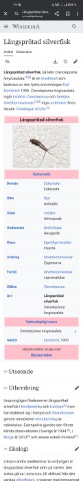 Skärmbild av Wikipedia-sida som beskriver långsprötad silverfisk, dess systematik, utseende, utbredning och ekologi.