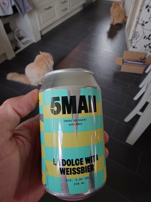 En hand håller en burk med "5MANS Bryggeri Borlänge La Dolce Vita Weissbier, 5,6% vol, 330 ml" i ett kök med två katter i bakgrunden.