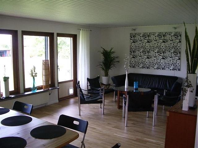 IMGP2321.jpg