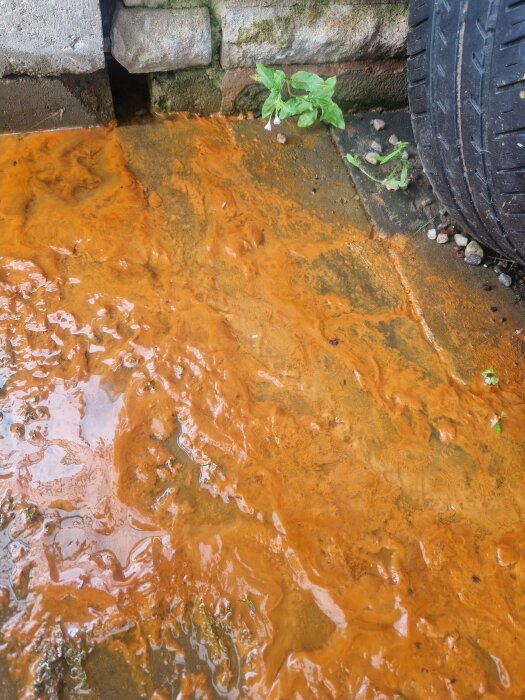 Gul-orange sediment längst en sprucken betonggrund med en bilens däck bredvid; stilla rinnande vatten även några dagar efter regnfall.