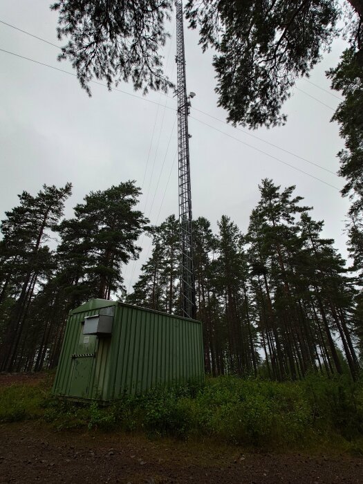 En grön byggnad med en telekommunikationsmast i en skog med tallar och grå himmel i bakgrunden.