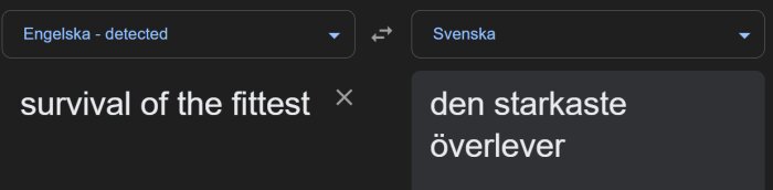 Google Translate-översättning av "survival of the fittest" från engelska till svenska som "den starkaste överlever".