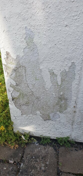 Flagnande vit färg på en putsad husfasad med sprickor, omgiven av trottoarplattor och växtlighet.