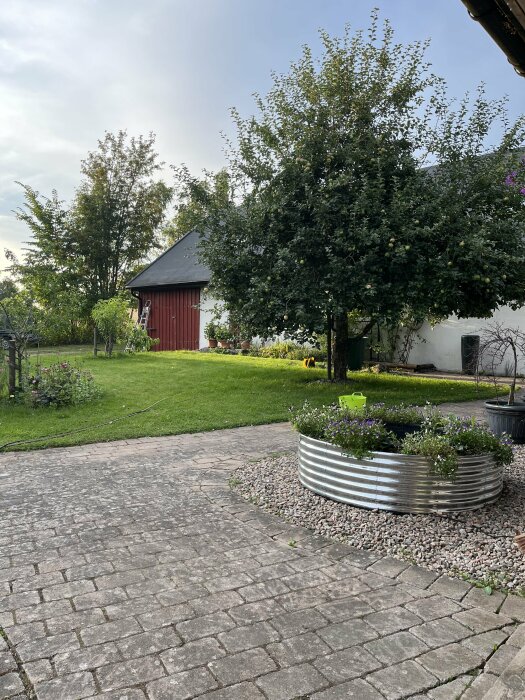 Trädgård med stenlagd gårdsplan, ett träd vid sidan av ett vitputsat hus med svart tak, metallring fylld med blommor, gröna träd och en röd byggnad i bakgrunden.