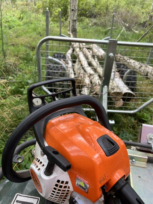 Närbild på en orange motorsåg i förgrunden, med nedhuggna björkstammar och en metallställning i bakgrunden, omgiven av grönska.