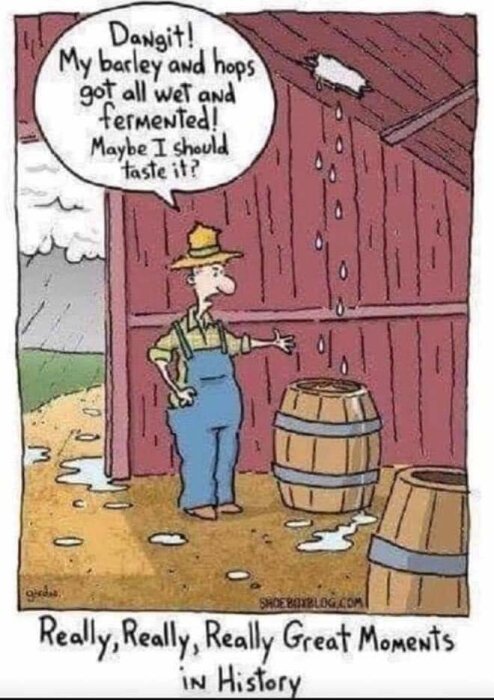 En tecknad bonde står i en ladugård med en trasig takränn som läcker vatten. Hans korn och humle har blivit blöta och fermenterade. Text: "Dangit! My barley and hops got all wet and fermented! Maybe I should taste it?" och "Really, Really, Really Great Moments in History".