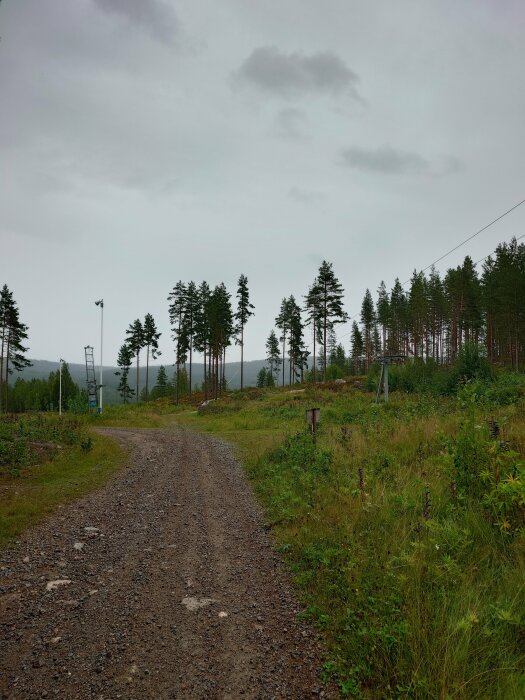 En grusväg som slingrar sig genom en skog med tallar på både sidor, under en gråmulen himmel.