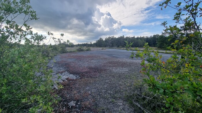 En öde asfaltsyta omgiven av träd och buskar under en molnig himmel med en skog i bakgrunden.