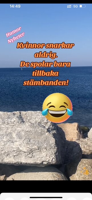 Text på bilden lyder: "Kvinnor snarkar aldrig. De spolar bara tillbaka stämbanden!" med en skrattande gråtemoji framför en strandvy.