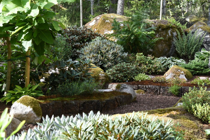 En vacker skogsträdgård med olika växter som Rhododendron, Hosta och ljung, samt inslag av mossa och stenar.