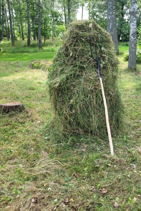 Gräshög med en högaffel lutande mot den, omgiven av en skogsdunge med träd i bakgrunden.