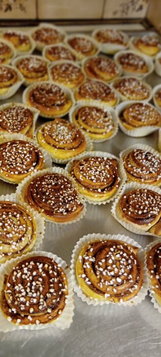 Nygräddade kanelbullar toppade med pärlsocker, upplagda på en plåt i papperformar.