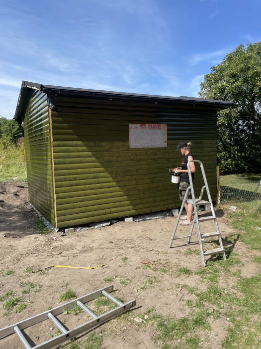 Person målar tjärad träpanel på ett litet grönt hus utomhus med hjälp av en stege. Enligt inlägget har en fru också hjälpt till med målningen.