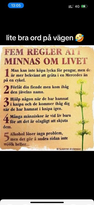 Textbild med de fem reglerna att minnas om livet: 1. Man kan inte köpa lycka för pengar... 2. Förlåt din fiende... 3. Hjälp någon... 4. Många människor... 5. Alkohol...