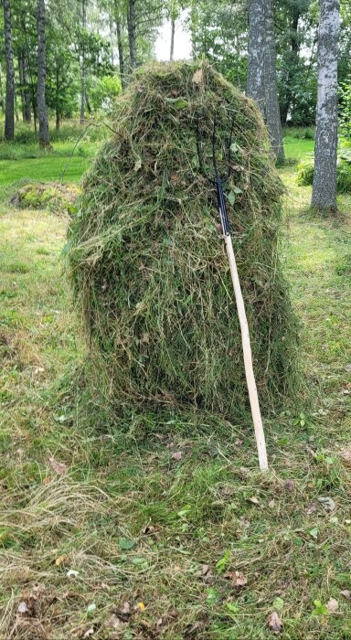 En stor hög av skördat gräs format till en hösåte med en högaffel lutad mot den, omgiven av träd i ett gräsbevuxet område.