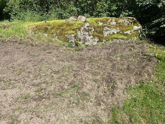 Uppgrävd gräsmatta och stenar i en trädgård, omgiven av gröna buskar och träd.