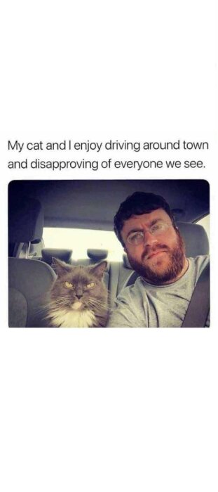 Man med skägg och glasögon sitter i en bil bredvid en grå katt med lång päls. Text ovanför: "My cat and I enjoy driving around town and disapproving of everyone we see.