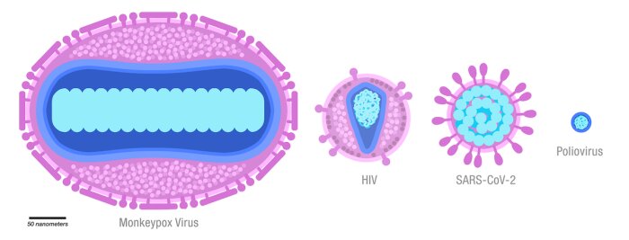 Skaljämförelse av olika virus: Monkeypox, HIV, SARS-CoV-2 och Poliovirus, med respektive storlekar i nanometer.