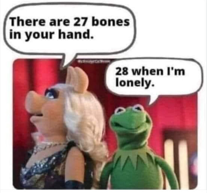 Bild med två Muppet-karaktärer där den ena säger "There are 27 bones in your hand." och den andra svarar "28 when I'm lonely.