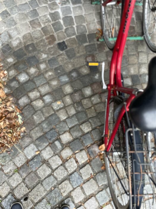 En röd cykel står parkerad på ett underlag av kullersten. Några torra löv ligger på marken bredvid cykeln.