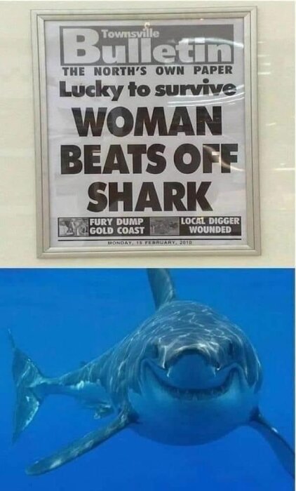 Tidningsartikel med rubriken "Woman Beats Off Shark" och en bild av en haj under vattnet.